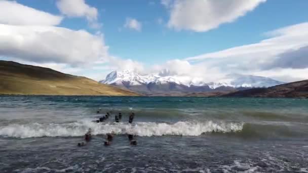 Berg av patagonien, bergslandskap av patagonien. Utsikt över Mount Cerro Payne Grande och Torres del Paine. — Stockvideo