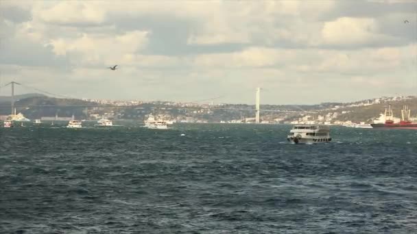 Barcos de recreio no Bósforo, as gaivotas voam — Vídeo de Stock