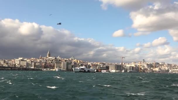 Повільно крохмаль випускає чайки і хвилі в Босфорі, корабель пливе повз — стокове відео