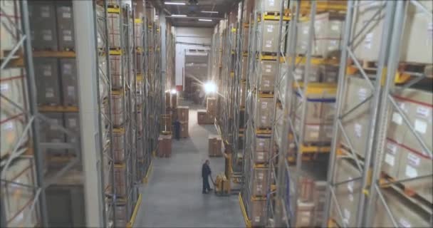 Lagerutrustning på jobbet, arbetare i ett stort lager. Stort arbetsflöde i lager — Stockvideo