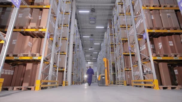 Vorkheftruck in een magazijn, een man in een groot magazijn doet het werk — Stockvideo
