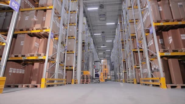 Grand entrepôt à l'usine, les travailleurs fondent les marchandises dans l'entrepôt, de nombreuses boîtes dans l'entrepôt — Video