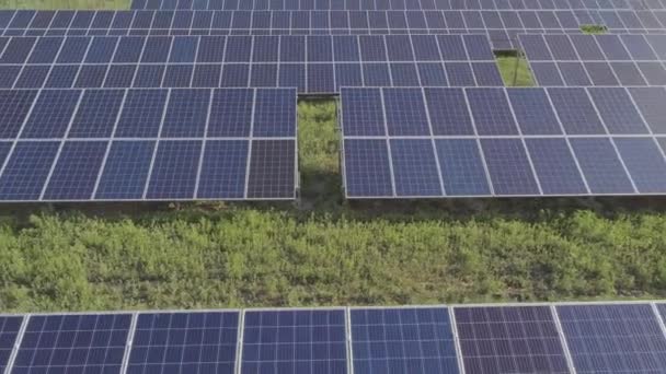 Flyger över ett fält av solpaneler, runt gröna fält. Förnybar energi, solpaneler — Stockvideo