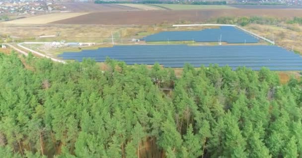 Bosque de coníferas altas con un dron, cerca de una gran estación solar — Vídeo de stock