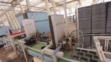 Serada çiçek yetiştirmek için otomatik hat. Çiçek yetiştirme fabrikasının otomatik hattı. Modern sera. Girişimde otomatik ambalaj