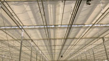 Büyük, modern bir seranın çatısını kapatma süreci. Büyük, modern bir serada çatı kapatılıyor.