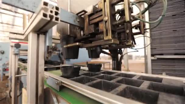 Automatisierte Linie im Gewächshaus für den Blumenanbau. Automatisierte Linie in der Blumenfabrik. Modernes Gewächshaus. Automatische Verpackung im Unternehmen — Stockvideo