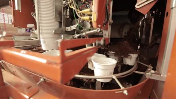 Proces automatického plnění květináče hlínou, automatizovanou sadbou — Stock video