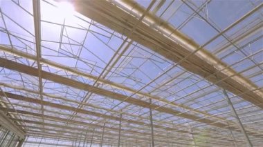 Büyük bir seranın cam çatısı. Modern binanın çatısı, aşağıdan, seranın otomatik çatısı.