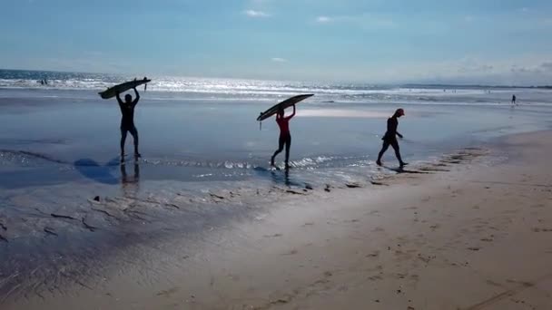 Surfer kommen aus dem Meer. Silhouetten von Surfern mit Brettern — Stockvideo
