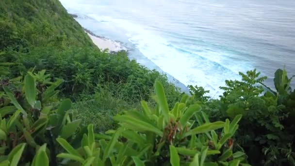 Прекрасний пляж на Балі, люди відпочивають на пляжі Балі. — стокове відео