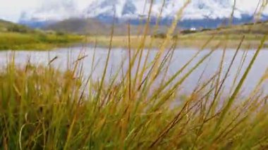 Torres del Paine Ulusal Parkı. Nordenskjold Gölü, Şili, Patagonya,