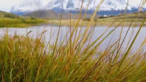 National park Torres del Paine. Nordenskjold lake, chile, patagonia, — Stock Video