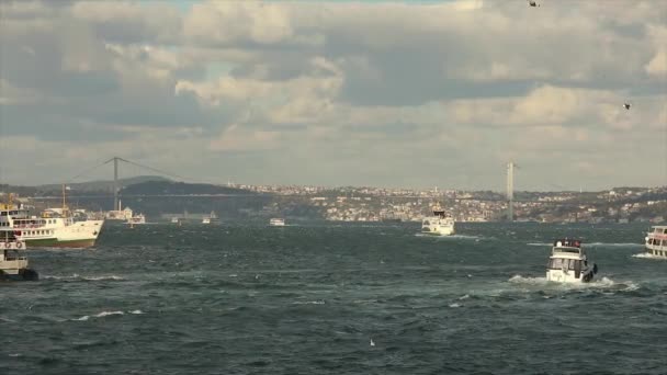 Σκάφη αναψυχής στο Βόσπορο, γλάροι πετούν — Αρχείο Βίντεο