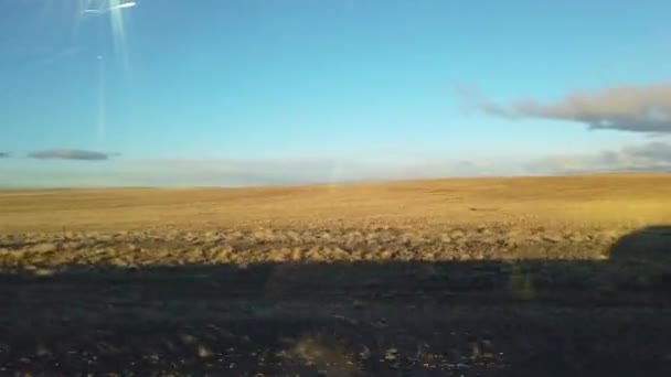 Campos patagónicos desde una ventana de coche, una sombra desde un coche al lado de la carretera — Vídeo de stock