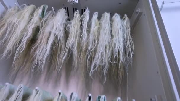 Sèche-cheveux pour extension dans une unité spéciale, Séchage des cheveux, Perruques de séchage en production — Video