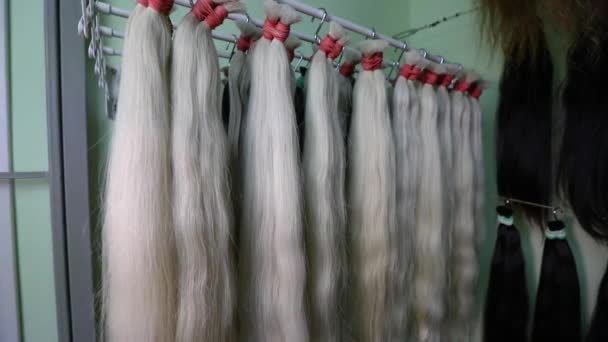 Cabelo Showroom, extensões de cabelo, lindamente pendurado em um suporte — Vídeo de Stock