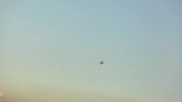 Drohnen am Himmel vor dem Hintergrund schöner Wolken. Militärische Drohne vor dem Hintergrund eines bunten Himmels — Stockvideo