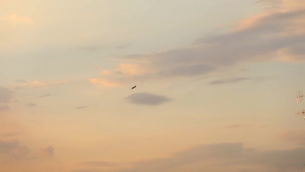 カラフルな空の背景に軍用UAV 。美しい雲を背景に空のUAV — ストック動画