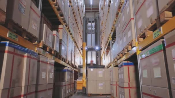 Empilhadeira rearranja caixas no armazém, grande armazém industrial, movimento de máquinas no armazém — Vídeo de Stock