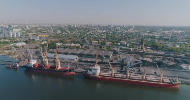 Große Frachtschiffe im Seehafen. Handelshafen mit großen Frachtschiffen aus der Luft — Stockvideo