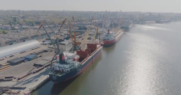 Grandes navios de carga no porto. Porto comercial com grandes navios de carga a partir do ar — Vídeo de Stock