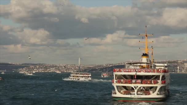 Turistahajók a Boszporuszban. Idegenforgalmi hajó, sirályok repülnek a hajó közelében. Sok turistahajó — Stock videók