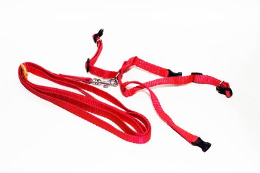 Beyaz arka planda kırmızı deri kedi koşum takımı