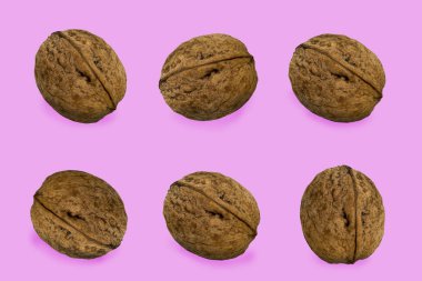 Pembe bir arka plan üzerinde fındık Yunanca