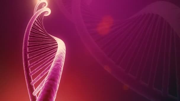 Вращение цепочки бесшовных ДНК — стоковое видео