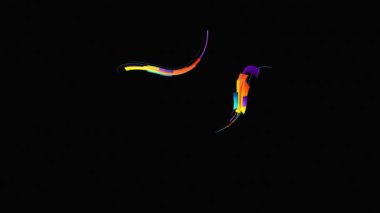 Renkli Şeritli satırlar hamle