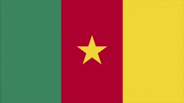 Kamerun bayrağı geçiş 4k
