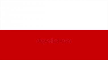 Polonya bayrağı geçiş 4k