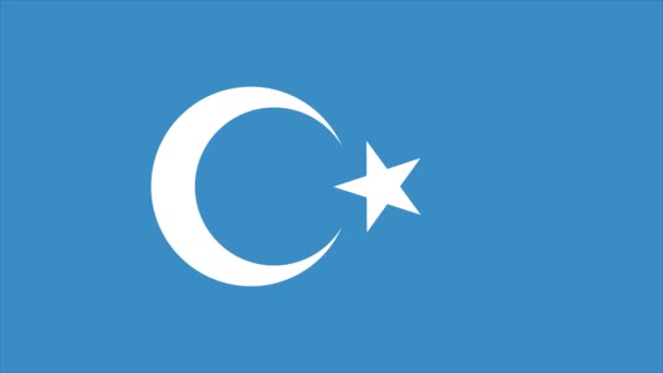 Transition du drapeau du Turkestan oriental 4K 