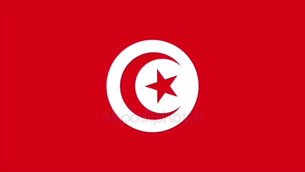 Tunisie Transition drapeau 4K 