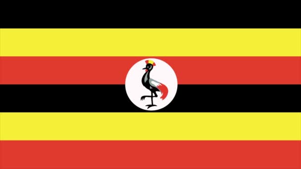 Uganda bayrağı geçiş 4k — Stok video