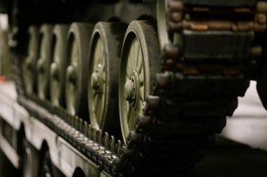 Ormandaki ağaç kabuğunun ayrıntıları