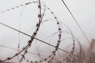 Sığ alan derinliği (seçici odak) ve filtrelenmiş resim