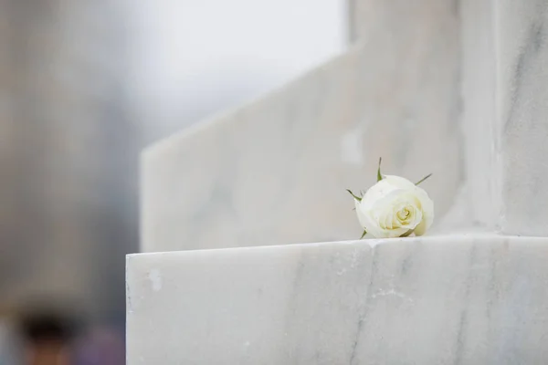 Weiße Rose auf einem Denkmal aus weißem Marmor an einem regnerischen Tag. — Stockfoto