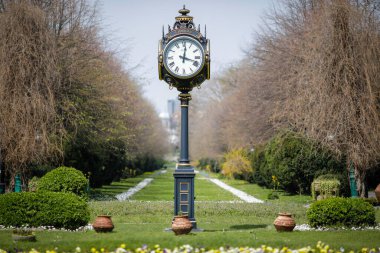 Romanya 'nın Bükreş kentindeki Cismigiu Parkı, güneşli bir bahar gününde.