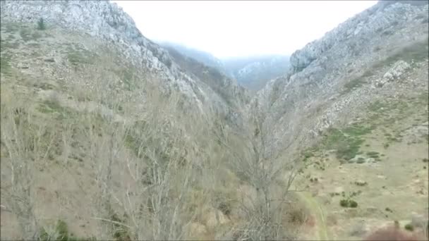Vuelo Dron Sobre Desfiladero Calizo — Video Stock