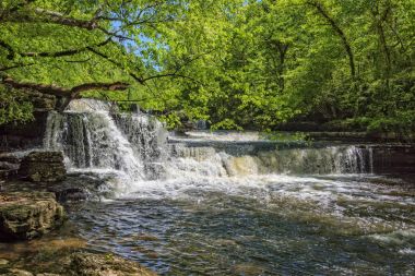 Adım Falls, eski taş State Park Tennessee