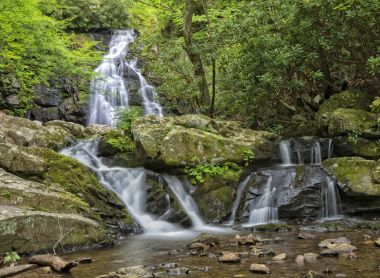 Ladin falls daireler