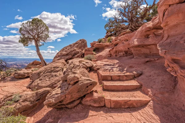 Canyonlands noktasında Grandview için önde gelen iz
