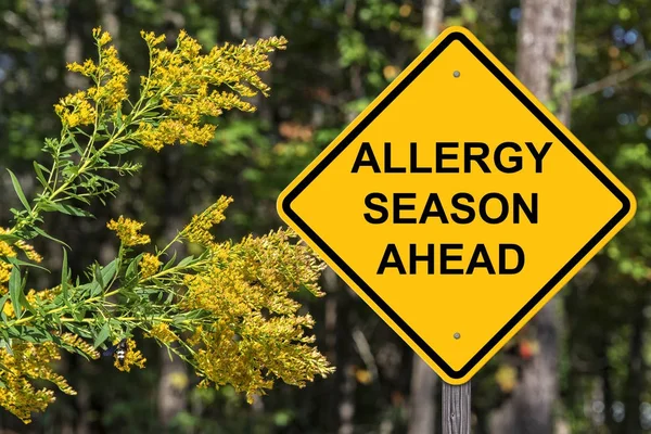 Vorsicht - Allergie-Saison steht bevor — Stockfoto