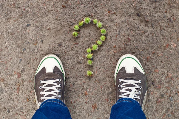 Vraag teken bestaat uit kleine groene kastanjes — Stockfoto