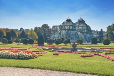 Viyana'da schonbrunn palace yakınındaki Botanik Bahçesi