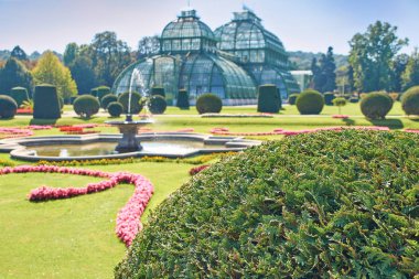 Viyana'da schonbrunn palace yakınındaki Botanik Bahçesi