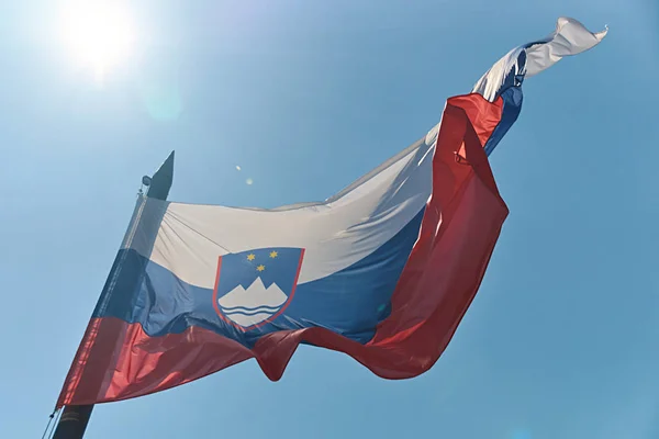 Brandissant le drapeau national de Slovénie sur fond de ciel bleu — Photo