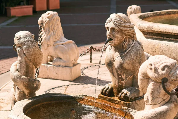 Staré kašny na náměstí Piazza Vecchia, Bergamo, Itálie — Stock fotografie